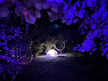 Notre Menu pour Paques dans le Dôme des Etoiles - 2025